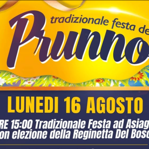 Festa del Prunno.png