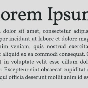 loremipsum.jpg