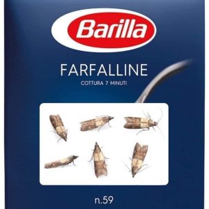 barillainsetti.jpg